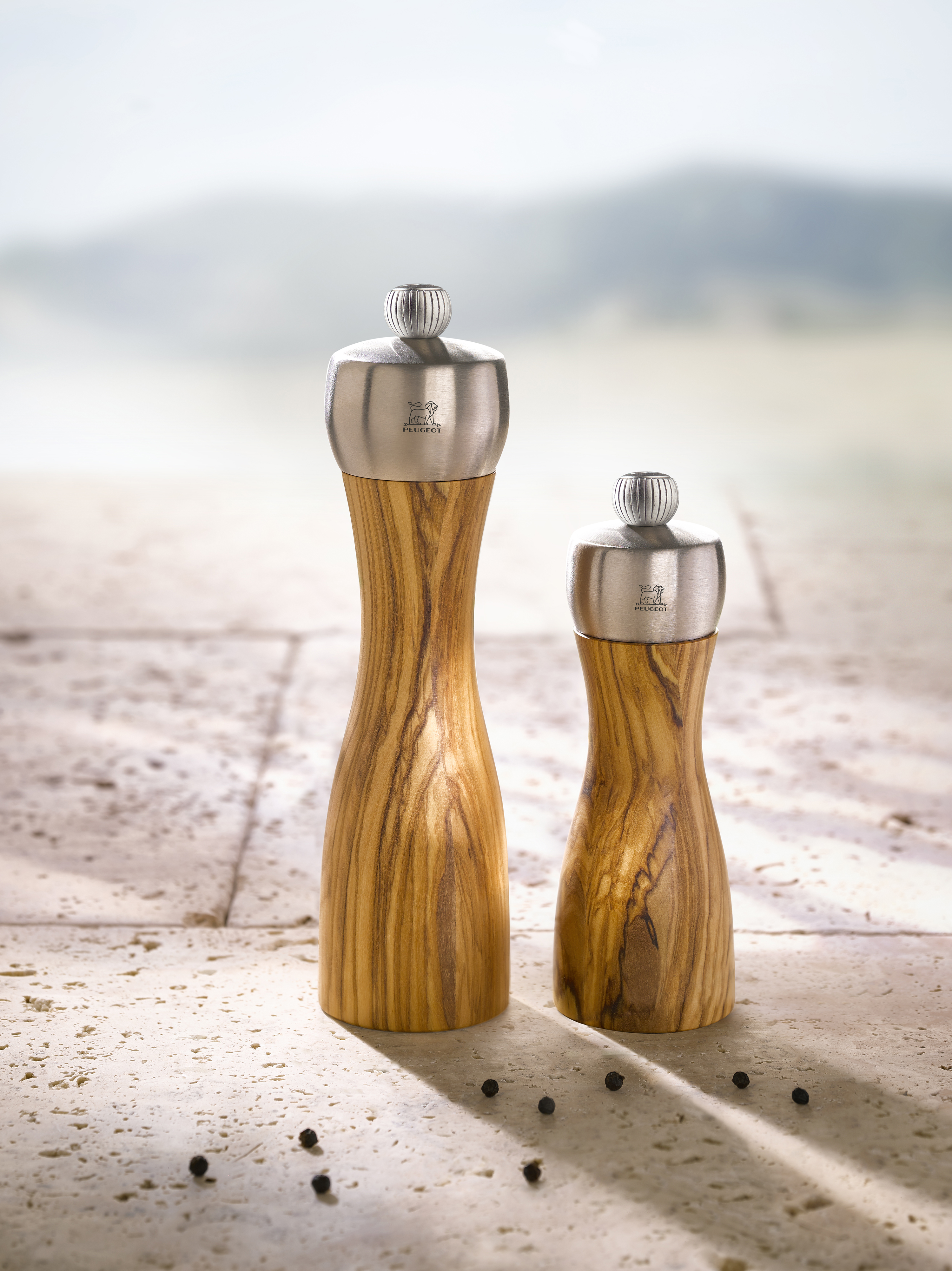 gezond verstand Ideaal hond Peugeot Corner | Peugeot peper- en zoutmolens | Gratis verzonden vanaf 30,- | Voor 15u besteld, morgen in huis gezond verstand Ideaal hond Peugeot Corner | Peugeot peper- en zoutmolens | Gratis verzonden vanaf 30,- | Voor 15u besteld, morgen in huis